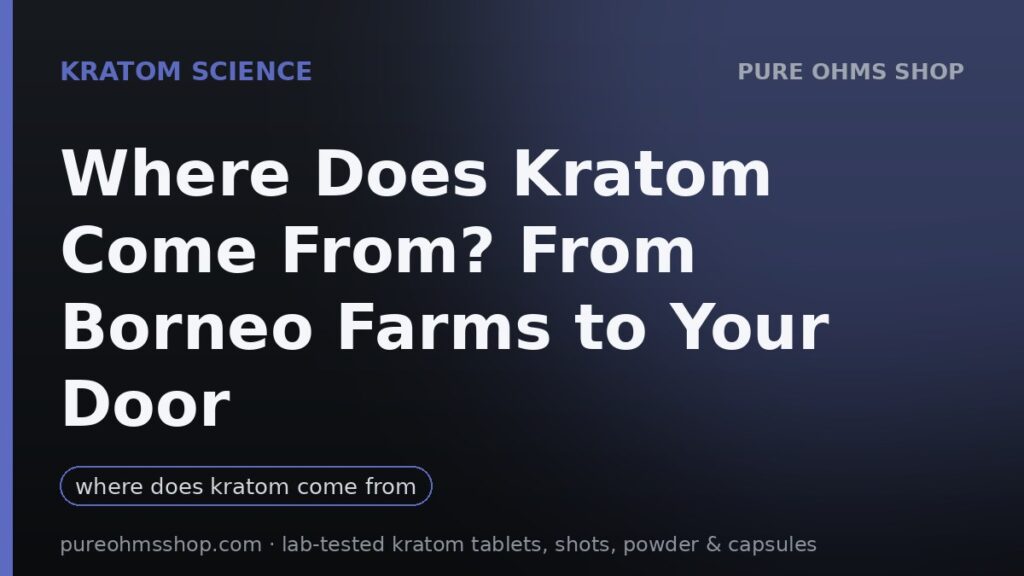 Kratom farming in Southeast Asia: leaves drying before milling and export